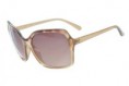 /album/oculos-de-sol/a228-0200g-marrom-jpg/